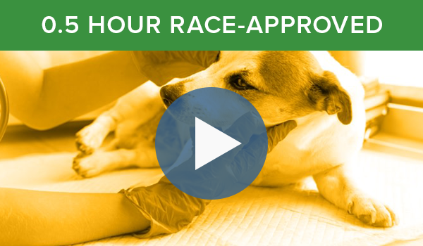 Watch the 0.5 Hour RACE-Approved CE "Head Cases"