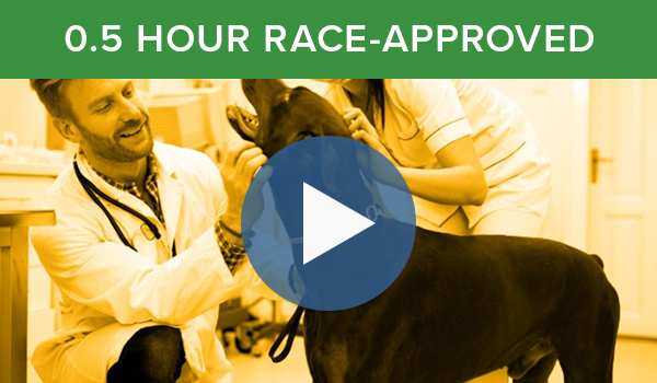 Watch the 0.5 Hour RACE-Approved CE "Efficiency Unleashed"